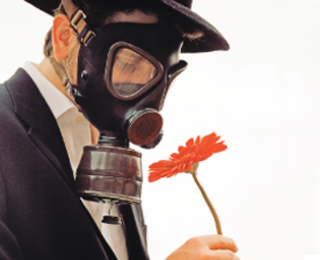 Проявление аллергии на растения Аллергия на растения